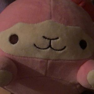 Meet your Posher, Diana